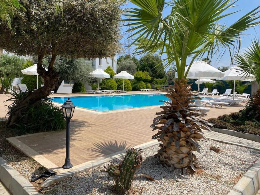 Girne/Zeytinlik 2+1 Muhtesem Terasli Daire Buitenkant foto