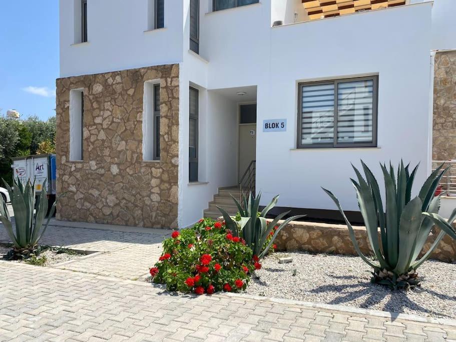 Girne/Zeytinlik 2+1 Muhtesem Terasli Daire Buitenkant foto